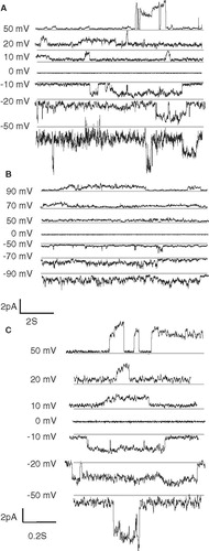 Figure 6. Channel recordings of VP1 (A) and FP1–33 (B) inserted into artificial lipid bilayers at various holding potentials. Selected traces of the recordings with VP1 are outlined (C). Grey lines in the recordings indicate the lowest detected current rather than marking the zero current line of the recordings.