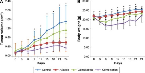 Figure 4 Effect of afatinib, gemcitabine, or combination on the growth of HNE-1 xenografts.