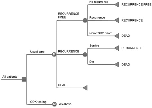 Figure 1.  Overview of the 21-gene assay cost-effectiveness model structure. ESBC, early-stage breast cancer; ODX, 21-gene assay; M, Markov node. Squares represent decision nodes, circles represent chance nodes (or Markov nodes where designated) and triangles represent transitions to health states. Health states are designated using block capitals.