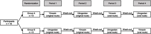 Figure 1 Flow chart of the study.