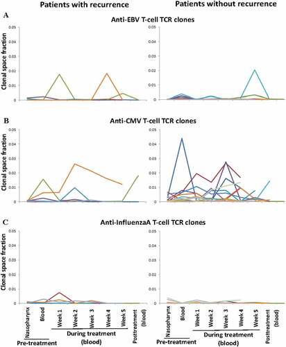 Figure 4. Acute systemic responses and temporal dynamics of the common anti-viral intratumoral T-cell clonotypes (ITCs) shared with the peripheral blood T-cell repertoires in the longitudinal serial peripheral blood samples following concurrent chemoradiotherapy (CCRT). Each line represents the total occupied clonal space in the blood of different ITCs against the same viral antigen over time in each patient with recurrence (n = 11) and without recurrence (n = 25). (a) Anti-Epstein Barr virus (EBV) lytic and latent antigens (BZLF 1, BRLF 1, BMLF 1, EBNA 1, EBNA 3A, EBNA 3B/4, LMP 1, and LMP 2A). (b) Anti-cytomegalovirus (CMV) antigens (IE1 and pp65). (c) Anti-influenzaA antigens (HA and M)