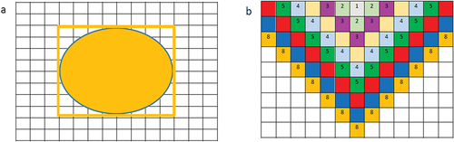 Figure 3. An improved version of the multi-grid model, (a) Implementation of a discretized model. According to the model, a pedestrian occupies a grid of 8 × 8 grids and can change better distances every time phase. (b) the diagram shows the informed procedure for every time phase; modernized is turned from minor to too big with the grid. At the exit, the grid is modernized first (Zhang et al., Citation2008). .
