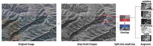 Figure 8. Sliding-window processing in which large images were split using a single sample data enhancement method.