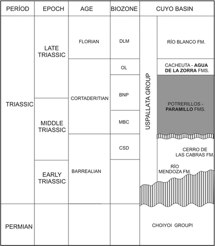 Fig. 2 Stratigraphic chart showing the position of the Paramillo Formation (ages and biozones from Morel et al. Citation2003).