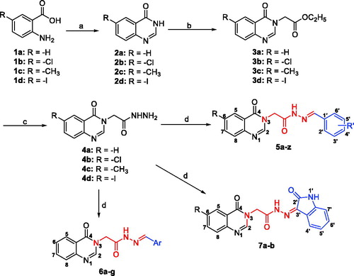 Scheme 1. Synthesis of acetohydrazides incorporating quinazolin-4(3H)-one (5, 6, 7). Reagents and conditions: (a) H2N-CHO, 120 °C, 3 h; (b) ethyl chloroacetate, KI, K2CO3, acetone, 60 °C, 3.5 h; (c) N2H4.H2O, EtOH, reflux; (d) Ar-CHO or isatin der., AcOH conc., EtOH, reflux.