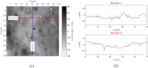 Figure 2. Topography image with Rq=16nm, as measured with the scanning probe microscope (SPM): (a) 2 D plot of the tested area measuring 50 µm × 50 µm, (b) roughness profiles along the sections indicated in (a), note different scales in vertical and horizontal directions.