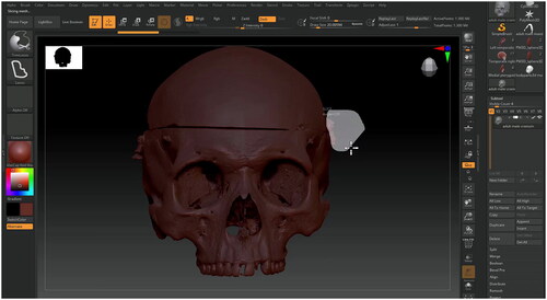 Figure 1. Using the ‘TrimLasso’ brush to select and delete areas of geometry on a micro-CT scan of a skull.