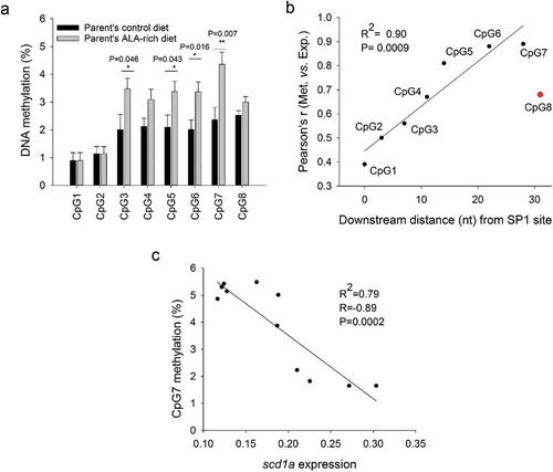 Figure 3. Cytosine methylation in examined promoter regions of scd1a in juveniles of the gilthead sea bream fed a low FM/FO diet, whose parents were fed with a control or an ALA-rich diet. Data represent the mean ± sem of nine individuals per condition. Differences found between groups by Student t-test (P > 0.05) are indicated (a). Correlation between gene expression and the methylation level of CpGs at different positions relative to an SP1 site within the scd1a promoter; correlation is maximal for CpG6 and 7 (b). Correlation between methylation at CpG7 in the scd1a gene promoter and hepatic scd1a gene expression. Significance for correlation is shown (c).