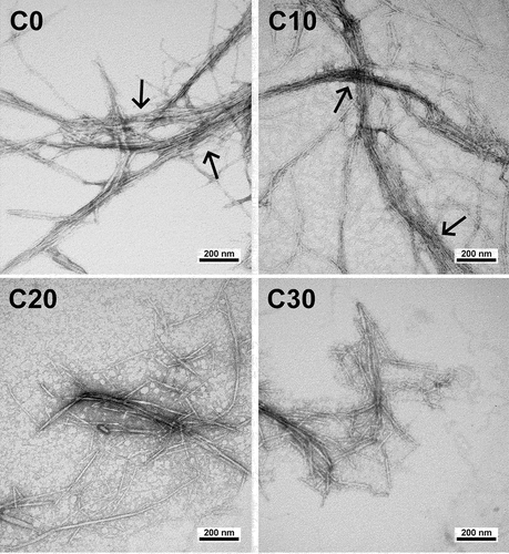 Figure 7. Morphologies of ChNFs deacetylated with various NaOH concentrations taken by transmission electron microscopy.