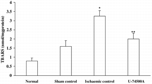 Figure 1. Effect of U-74500A on ischemia-reperfusion induced lipid peroxidation in kidneys. Values expressed as mean ± SEM. *p<0.05 as compared to sham control group, **p<0.05 as compared to ischemic control group (One-way ANOVA followed by Dunnett's test).