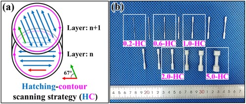 Figure 13. The (a) schematic of the hatching-contour scanning strategy (HC) and (b) the LPBF-ed samples fabricated using the strategy HC.