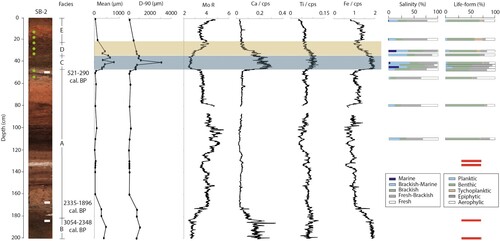 Figure 5. Optical image of core SB-2 with radiocarbon age (cal. yr. BP), mean and D-90 grain-size statistics, elemental profiles from ITRAX scanning for molybdenum Incoherent/ Coherent ratio (Mo R), calcium (Ca / cps), titanium (Ti / cps) and iron (Fe / cps), diatom salinity and lifeform preferences. The elemental data are displayed as counts normalised by counts per second (cps). No diatoms were observed in samples taken from 130 and 140 cm depth. The green dots indicate the sampling positions for pollen analysis. Defined by peaks in selected grain size, elemental composition and diatom data the inferred marine and alluvial disturbance units are shaded grey blue and light brown, respectively. The dashed box denotes the inferred former beach surface.