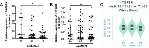 Figure 3 The rs6478974 TT carriers exhibited lower levels of TGFBR1. The relationship between the rs6478974 AA, AT and TT genotypes and TGFBR1 mRNA levels in controls (A) and patients with epilepsy (B) (*P < 0.05, **P < 0.01). Data from eQTL showed that the rs6478974 TT genotype was associated with lower expression of TGFBR1 (P = 9.8 X 10−14) (C).