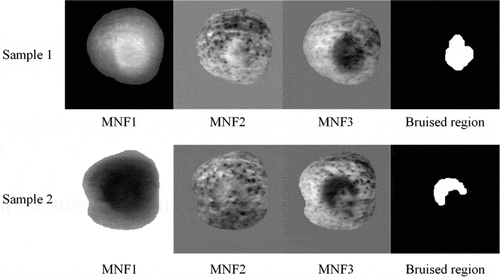 Figure 6. The first three principal component images (MNF1 to MNF3) gained using MNF