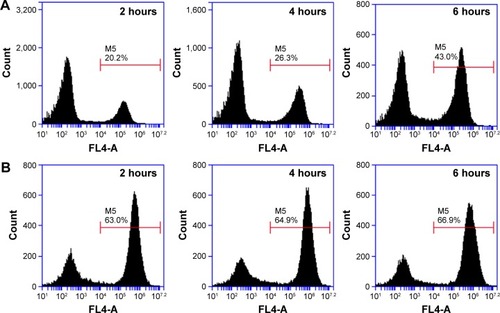Figure 6 Flow cytometry analysis of A549 cells exposed to free Cy 5.5, MnO2/HA/Cy 5.5 for different times.Notes: (A) Cy 5.5 group; (B) MnO2/HA/Cy 5.5 group.Abbreviations: HA, hyaluronic acid; MnO2, manganese dioxide; Cy, Cyanine dye.