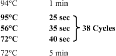 Figure 2. PCR procedure.