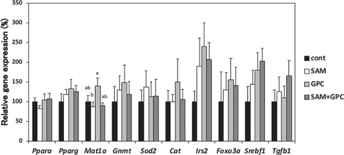 Figure 2. Effects of SAM and GPC on gene expression related to glucose, lipid, and SAM metabolism, oxidative stress, inflammation and liver fibrosis in the livers of KK-Ay mice.Values are mean ± SE (n = 8–9). Means in a bar without a common superscript letter differ significantly at p < 0.05 (Tukey–Kramer HSD test).