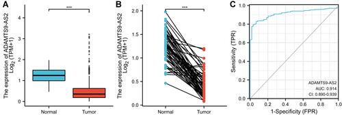 Figure 1 ADAMTS9-AS2 expression in LUAD is significantly lower than in normal or adjacent normal tissues. (A) Differential expression of ADAMTS9-AS2 in LUAD tissues and adjacent lung tissues. (B) Differential expression of ADAMTS9-AS2 in LUAD tissues and paired adjacent lung tissues. (C) Effectiveness of ADAMTS9-AS2 expression in distinguishing LUAD tissues from nontumor tissues (ROC curve). Significance markers: ***P<0.001.