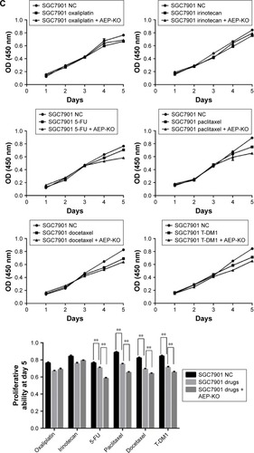 Figure 3 Construction of stable AEP knockout and overexpressive gastric cancer cell lines and the sensitivity to different chemotherapeutic drugs.