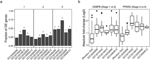 Figure 5. Gene ontology enrichment analysis of differentially expressed genes and differentially bound peaks. (a) Genes from RNA-Seq samples (n = 98) were tested for differential expression between stages (1, early; 2, intermediate; 3, late-differentiation) and 0, non-induced stage using the reads count. The deferentially expressed (DE) genes were used to perform gene set enrichment analysis. The fraction in each comparison of DE genes in the gene ontology (GO) terms: adipose tissue development (GO:0060612); lipid catabolic process (GO:0016042); lipid storage (GO:0019915); glucose metabolic process (GO:0006006); and cellular response to insulin stimulus (GO:0032869) are shown as bars. (*) indicates p-values . (b) Peaks in ChIP-Seq samples (n = 22) were tested for differential peak binding between stage (1, early-differentiated, for CEBPB; 3, late-differentiated, for PPARG) and 0 non-induced stage using the reads count in peaks. The absolute fold-changes of significantly expressed peaks in genes from the three GO terms (same as above) and a random gene set (n = 50) are shown as box plots (25%, 50% and 75% percentiles).