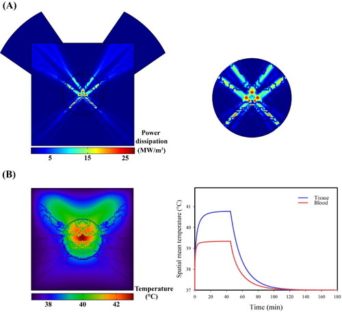 Figure 5. The ultrasonic power deposition by the focal points causes the central region of the tissue to be exposed to high temperatures. After exposure of ultrasound, the tissue temperature rises rapidly. Then, tissue temperature is kept in the mild hyperthermia range by the controller for 45 minutes.