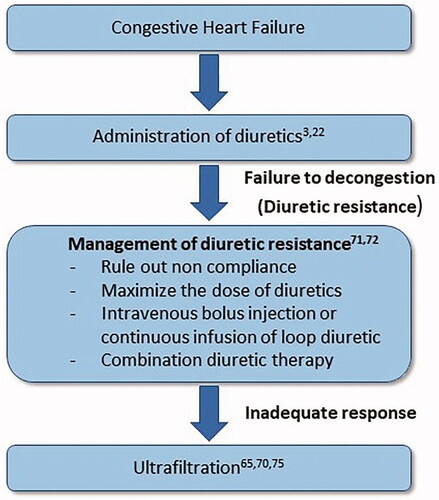 Figure 2. Management of diuretic resistance.