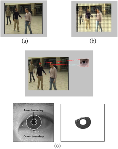 Figure 3. Suspicious event occurrence (a) input image, (b) segmented output, (c) feature extraction output.