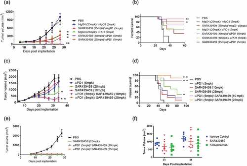 Figure 5. SAR439459 improves antitumor efficacy of PD-1 blockade in mouse tumor models and combination establishes long-lasting immunity. Antitumor efficacy of SAR439459 in combination with PD-1 antibody was examined in mouse colon and breast carcinomas, MC38 and EMT-6, respectively. Graph shows time dependent MC38 tumor volumes over time after receiving various treatments as detailed in Materials and Methods (a). Survival curves of mice from MC38 study over several days. P values: *<0.05, **<0.005 (b). Graph depicts EMT-6 breast cancer tumor volumes over time in mice after receiving various treatments (c). Survival data from EMT-6 tumor model at various days (d). Mice surviving EMT-6 experiment in combination and SAR439459 monotherapy group were re-challenged with EMT-6 tumors, (e). Curves show that tumors were immediately rejected in these mice. Tumor growth inhibition in Lovo model by SAR439459 and fresolimumab as a monotherapy at day 31 and 35 post tumor implantation, (f). Data was compared with two-way ANOVA and no difference was observed between SAR439459 vs. fresolimumab.