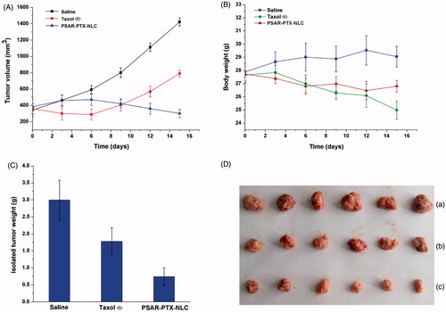 Figure 9. The in vivo anti-tumour study of PTX-loaded 10% PSAR-NLC in tumour-bearing mice. (A) Changes of tumour volume, (B) Body weight changes for the tumour-bearing mice, (C) The weights of the removed tumours were measured after the completion of the in vivo assays. The data are presented as the mean ± SD (n = 6). (D) Photograph of the solid tumours removed from different treatment groups at the study termination. (a) Saline, (b) Taxol® and (c) 10% PSAR-PTX-NLC.