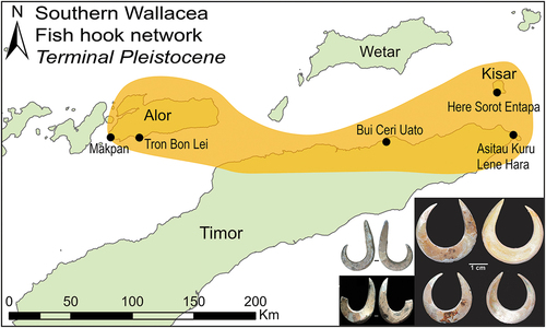 Figure 3. Shell fish hook network incorporating the islands of Alor, Timor, and Kisar during the terminal Pleistocene. Photo insets for jabbing hooks from Langley et al. (Citation2021: fig. 8) and O’Connor et al. (Citation2019: fig 7), and rotating hooks from O’Connor et al. (Citation2017b: fig. 7).