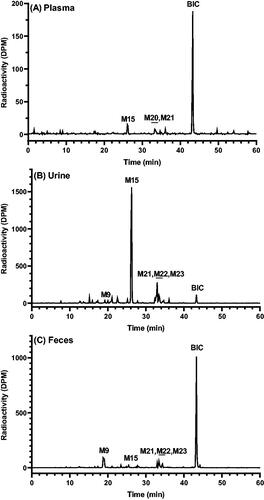 Figure 3. Radiochromatograms of (A) plasma (8 h postdose; pool of all subjects), (B) urine (0 − 24 h postdose; Subject #3002), and (C) faeces (0 − 48 h post dose; pool of all subjects) following a single 100-mg (100 μCi) oral dose of [14C]BIC in human subjects. Only select metabolites are labelled in the radiochromatograms. A more complete listing is provided in Table 7.