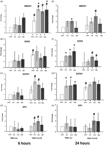 Figure 5. Transcript expression of oxidative stress markers in normal (PBEC-ALI: −) and interleukin-13 (IL-13) induced chronic bronchitis-like mucosa models (PBEC-ALI/CB: +) after 6 h (A–D) and 24 h (E–H) incubation following exposure to carbon nanoparticles (CNP). Fold change of HMOX1 (A and E), SOD3 (B and F), GSTA1 (C and G), and GPx (D and H) 6 h and 24 h post-exposure to sham (clean air), low (2.5 μg/cm2), med (9.4 μg/cm2), and high (14 μg/cm2) CNP doses. Data presented as median and 25th–75th percentiles (n = 9) and normalized to sham exposure of PBEC-ALI. *: p < 0.05 within-group comparison of effects; effects of CNP exposure at all three concentrations vs corresponding sham (PBEC-ALI or PBEC-ALI/CB), #: p < 0.05 between-group comparisons (PBEC-ALI/CB vs PBEC-ALI) between sham or corresponding dose of CNP.