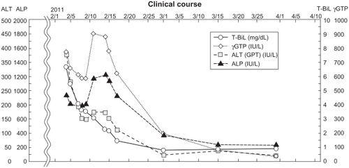 Figure 4 Clinical course.