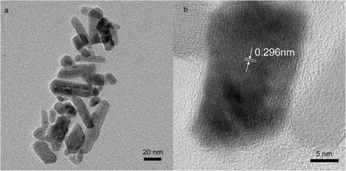 Figure 1. TEM image of rod-like nanoparticles (a) dispersed in hexane and its corresponding HRTEM image (b).