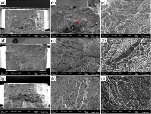 Figure 13. SEM images of fracture surfaces of tensile test specimens from (a)–(c) A1 sample, (d)–(f) B3 sample and (g)–(f) C3 sample.