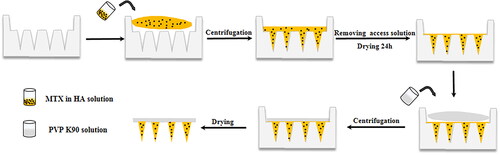 Figure 2. Fabrication of MTX-loaded DMNPs by two-step process.