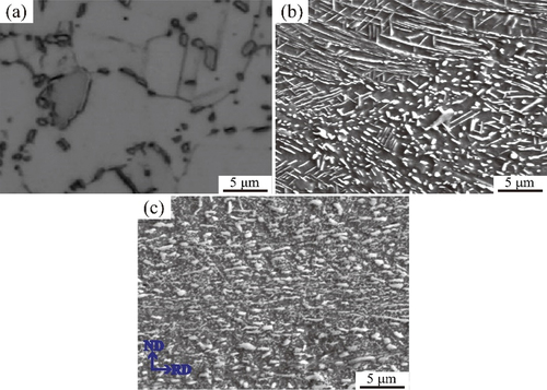 Figure 1. (a) Optical microscopy (OM) image of Inconel 718. Electron microprobe (SEM) images of (b) 68% CR + 890°C × 5h and (c) 68% CR+890°C×5h +16% CR.