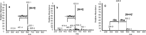 Figure 2  Online MS/MS spectrum of acteoside (a), isoacteoside (b), and linarin (c).