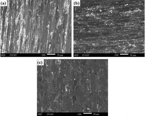 Figure 13. SEM images of worn morphologies of the three alloys tested at 600 °C: (a) CNi, (b) CW and (c) CMo