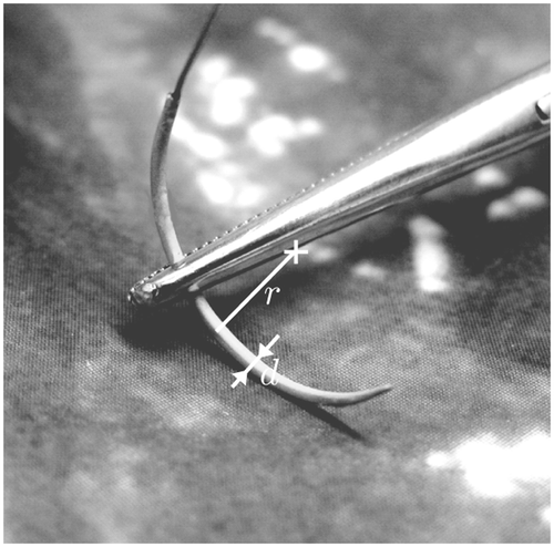 Figure 2. Close-up of the needle held by a gripper.