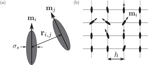 Figure 1. (a) A schematic of off-lattice HGO and GB models. The potential between two particles is described using their orientations ( and ) and relative position . The width of each particle is set to . (b) A schematic of lattice-based LL model. The orientation of particle i is given by and the lattice spacing is set to .