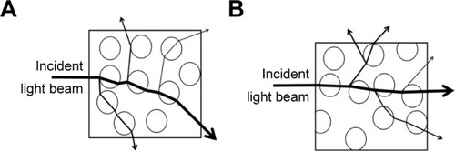 Figure 5 Possible explanation of translucency change of PMMA/ZrO2 nanocomposite.Notes: (A) Higher refractive index difference between nano-ZrO2 and resin matrix resulted in severe bending of the light at nano-ZrO2/resin matrix interface, which reduced light transmittance. (B) Low refractive index difference between nano-ZrO2 and resin matrix allowed incident light passing through the material with a little interference between nano-ZrO2 and resin matrix.Abbreviations: PMMA, polymethyl methacrylate; nano-ZrO2, zirconium oxide nanoparticles.