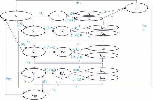 Figure 1. Dynamic transmission model structure.