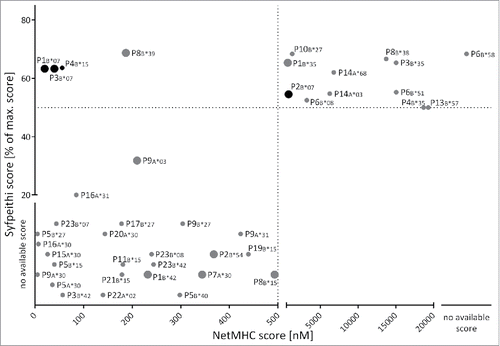 Figure 1. Prediction of MYD88L265P-derived HLA class I ligands. 50 MYD88L265P-derived 8- to 12-mer peptides were scored by the online prediction tools SYFPEITHI and NetMHC 3.4, as well as an extended in-house database. Peptides with NetMHC 3.4 IC50≤ 500 nM were defined as binders (region left of the dotted line). SYFPEITHI scores are displayed as percent of the maximum score for the respective HLA allotype. The threshold for binders is defined as ≥ 50% of the maximum score (above the dotted line). For some HLA:peptide combinations scoring was possible with only one of the prediction tools due to limited availability of predictors. The figure illustrates the predicted ligands for HLA-A and -B allotypes. Fold-change ratios in binding scores of mutated peptides compared with the corresponding WT peptides are indicated by the size of the respective dot: large dots indicate an at least 2-fold better score, mutated ligands illustrated by small dots exhibit no increased binding score in comparison to their corresponding WT ligand. Out of 50 unique peptide sequences, 23 were scored as potential HLA class I ligands. Four ligands were concordantly designated as ligands of the same HLA allotype by both algorithms with three of them having an at least 2-fold higher score as their corresponding WT peptide. The black dots indicate the peptides which were tested in aAPC-based in vitro primings in HBDs or CLL patients. Abbreviations: max., maximal.