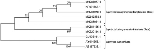 Figure 4. Phylogenetic relationships of Euphlyctis kalasgramensis and Euphlyctis cyanophlyctis using the neighbor-joining method based on the Kimura 2-parameter. Numbers on branches represent bootstrap values.