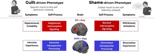 Figure 1. Proposed Neuroscientific Account of Guilt- and Shame-driven PTSD Phenotypes. Each phenotype is described on three different levels: the suggested neural networks underlying both phenotypes, the self-related mental processes and specific presented symptoms and behaviors. The colours correspond to the relevant neural systems: The salience network (SN) and the amygdala (Amy) in red, the default-mode network (DMN) and the hippocampus (Hipp) in blue. The Guilt-driven phenotype (on the left side) is more common in PTSD, related to specific insult to the self, associated with heightened interoceptive signalling and ruminative introspective, resulting in hyperarousal (e.g. hypervigilance, startle response, anger, irritability) and intrusion symptoms (e.g. flashbacks, intrusive memories, nightmares), respectively. The Shame-driven phenotype (on the right side) is less commonly presented in PTSD, associated with a global insult to self-identity, associated with blunted interoceptive signalling and diminished introspection, resulting in withdrawal and avoidance symptoms together with dissociative experiences (e.g. mutism, derealization, depersonalization, delusions), respectively. Both phenotypes are associated with alternations in the SN (including the amygdala) and the DMN (including the hippocampus). ©National Institute for the Clinical Application of Behavioral Medicine https://www.nicabm.com/shame-guilt-client-handout/