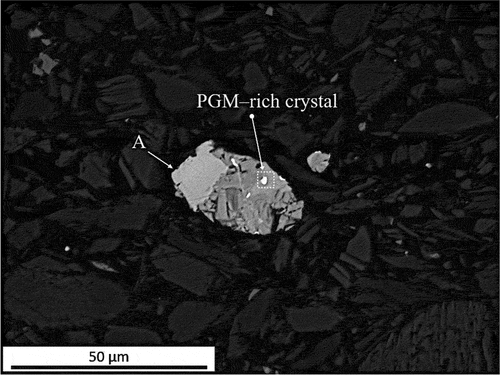 Figure 10. Sulfide particle in UG–2 concentrate fired at 900°C containing PGM-enriched crystals (bright spots) and a Ni-Fe-based alloy (A).
