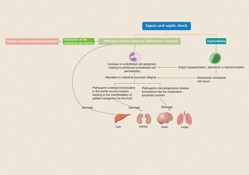 Figure 6 Illustrates the mechanism of multiorgan dysfunction in septic shock.