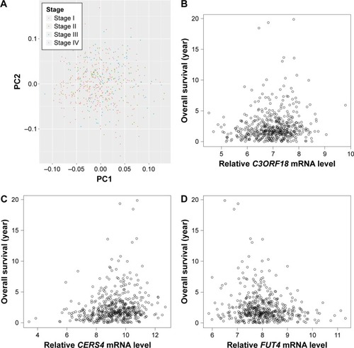 Figure 1 Principal component analysis of raw read count and correlation analysis between selected genes expression values and sample survival in training set. (A) Principal component analysis of raw read count of samples in different clinicopathological stages in training set. Red, blue, green, and purple dots represent stage I, stage II, stage III, and stage IV, respectively. (B–D) Spearman correlation between expression value of C3ORF18, CERS4, and FUT4 and survival times of samples in training set. X-axis and Y-axis represent gene expression value and sample survival time, respectively.