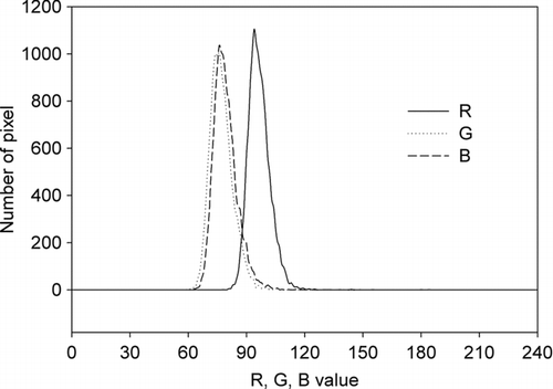 FIG. 1 Light intensities of red (R), green (G), and blue (B) of a filter with activated carbon.